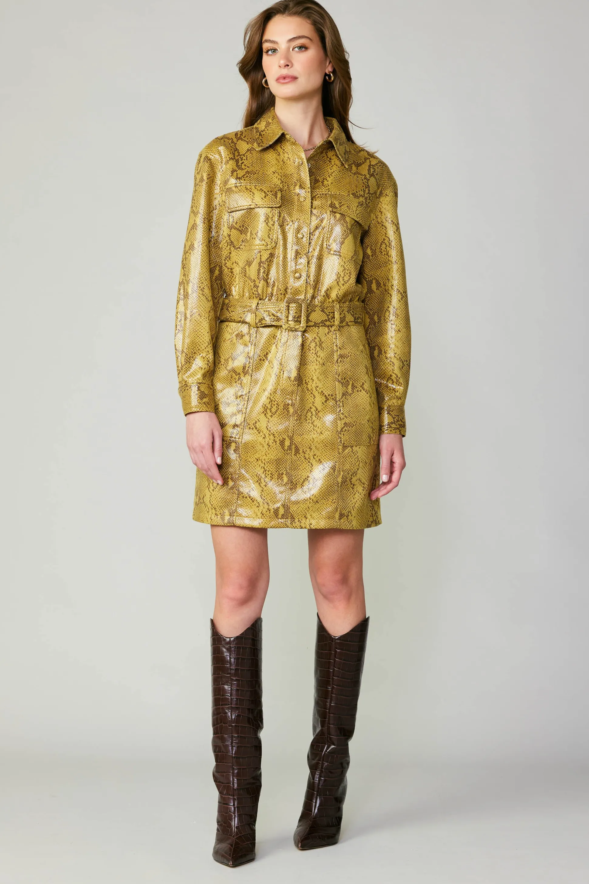 Snakeskin Shirt Dress<Current Air Best